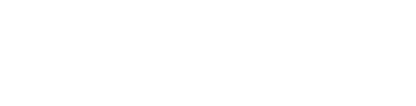 r.wilson decorating services logo upscaled white